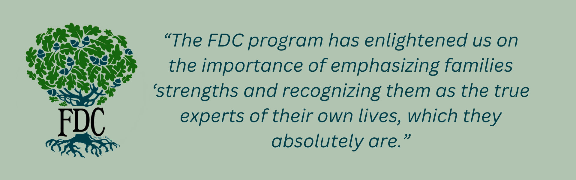 Quote from FDC student: “The FDC program has enlightened us on the importance of emphasizing families ‘strengths and recognizing them as the true experts of their own lives, which they absolutely are.”